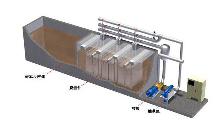 <strong>����ʽһ�w��</strong>